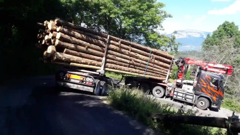 illustratoin-5-camion-transport-bois-sur-route-de-montagne-multi-transports-bois-720p-low